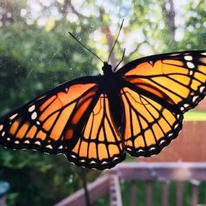 Meet your Posher, Stephen